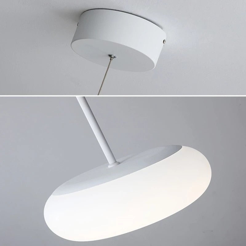 2022 Environmentally Friendly Ceiling Pendant Lamp Lighting - Querencian