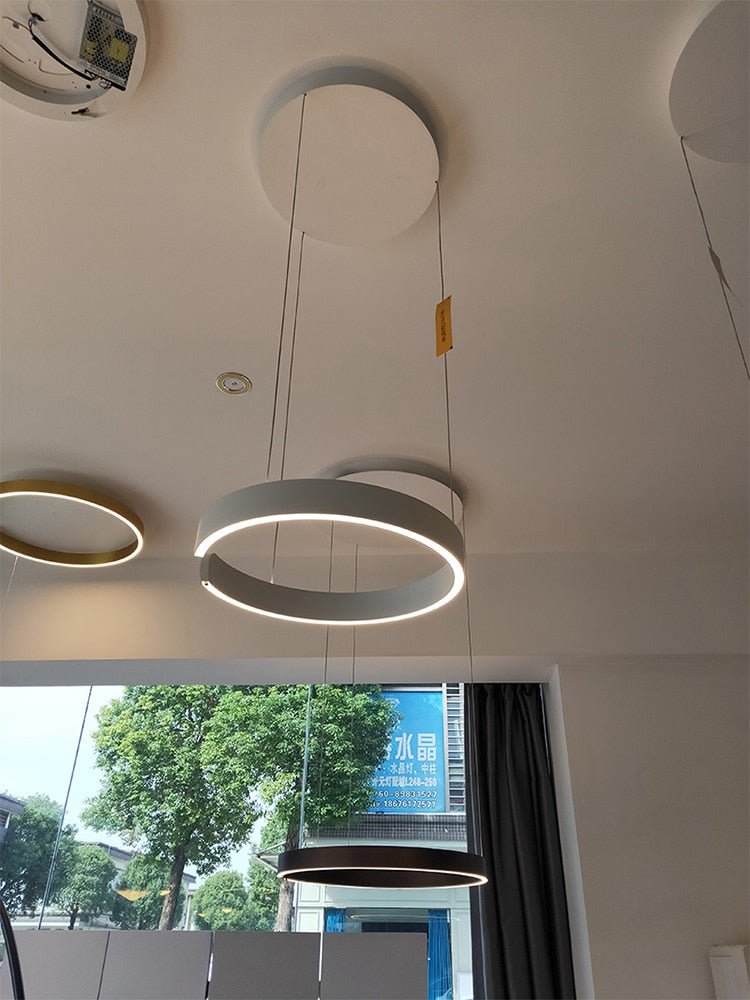 Modern Circle LED Decoration Pendant Light - Querencian
