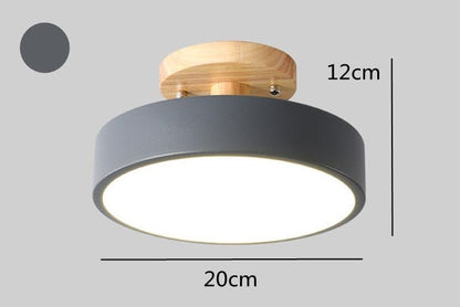 Surface Mounted LED Modern Ceiling Lights - Querencian