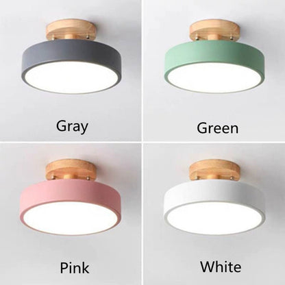 Surface Mounted LED Modern Ceiling Lights - Querencian